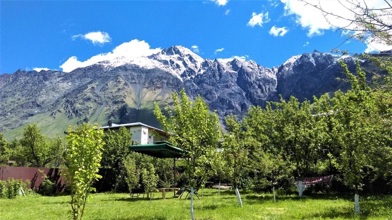 Kazbegi Green Yard Exteriér fotografie